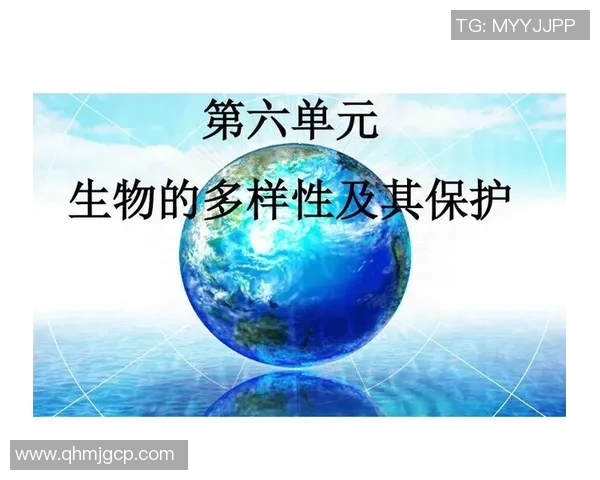 竞技体育项目的多样性与发展趋势探析及其对社会影响的深远影响