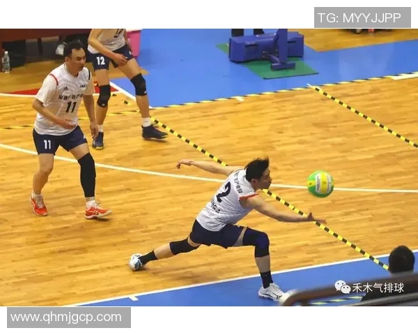 从零起步掌握排球技巧全方位指南助你成为排球高手