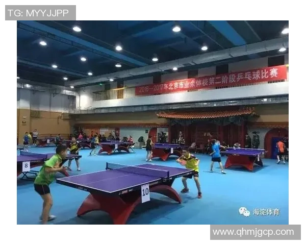 北京乒乓球队比赛经验引发热议球迷与专家观点大碰撞
