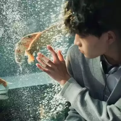 丁芷巧